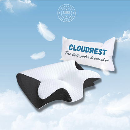 The CLOUDREST™