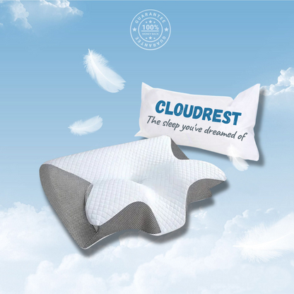 The CLOUDREST™