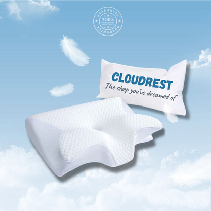 The CLOUDREST™